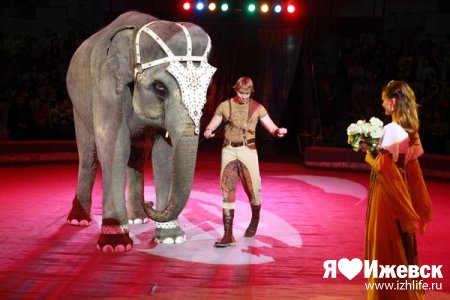 В Ижевске отмечают Всемирный день цирка