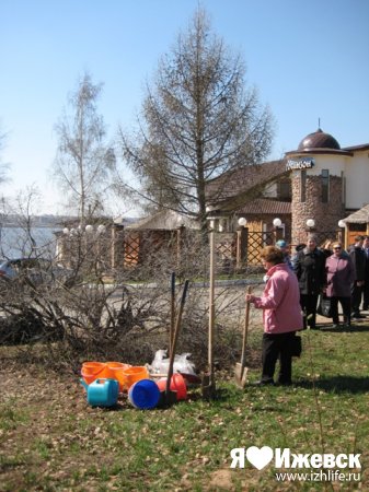 В Ижевске восстановили аллею, заложенную в честь 50-летия Великой Победы