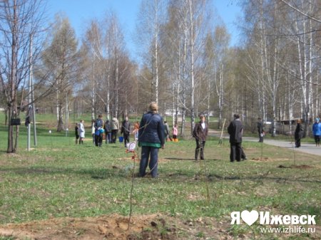 В Ижевске восстановили аллею, заложенную в честь 50-летия Великой Победы