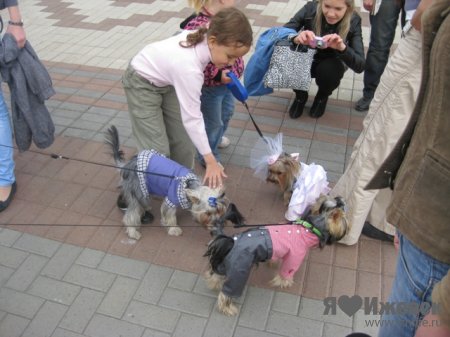 На костюмированном параде собак отличился "пограничник" Тарзан