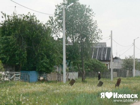 В Удмуртии ситуация в Пугачево стабилизировалась