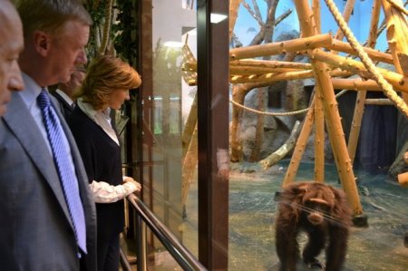 В ижевском зоопарке орангутанг испугал Анатолия Чубайса