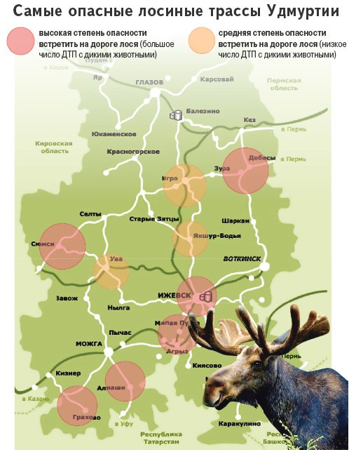 Как доехать до лося. Карта животных Удмуртии. Животные Удмуртии на карте. Лось на карте. Карта миграции лосей.