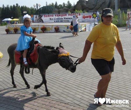 В Ижевске прошел лошадиный конкурс красоты