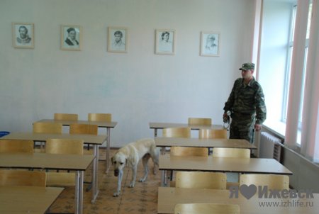 «Собака Путина» проверила школы Ижевска на взрывчатку