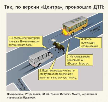 Очередное ДТП из-за лося: Маршрутка влетела в рейсовый автобус «Ижевск-Можга»