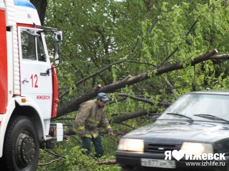 Многокилометровая пробка образовалась в Ижевске из-за упавшего дерева