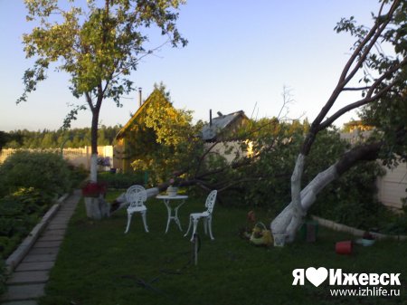 Ураганный ветер в Удмуртии валил деревья и срывал крыши с домов