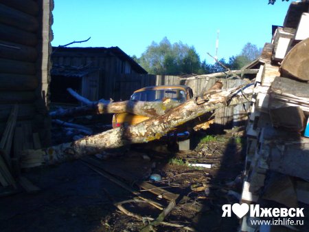 Ураганный ветер в Удмуртии валил деревья и срывал крыши с домов