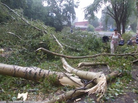 Электричество в пострадавших от урагана районах Удмуртии включат к вечеру