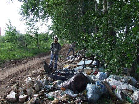 Из Ярушкинского парка вывезено пять «кубов» мусора