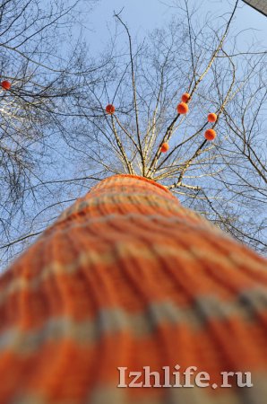 Фотофакт: ижевчане украсили деревья к встрече Нового года