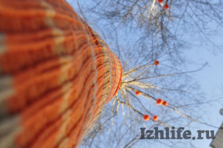 Фотофакт: ижевчане украсили деревья к встрече Нового года