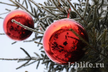 В Ижевске одна за другой открываются новогодние елки