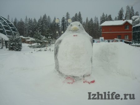 Фотофакт: снежные животные появились в Зоопарке Удмуртии