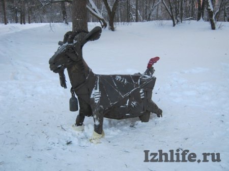 Фотофакт: Ижевчане утеплили козу в Козьем парке