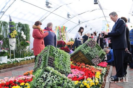 Фотофакт: в Ижевске открылась выставка «Цветы Удмуртии - 2013»