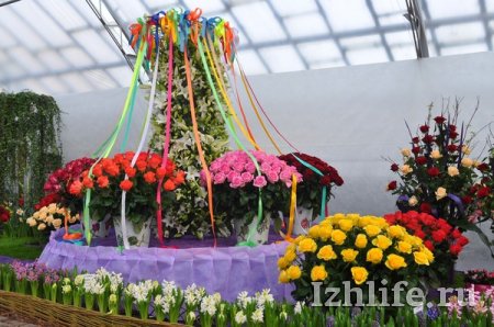 Фотофакт: в Ижевске открылась выставка «Цветы Удмуртии - 2013»