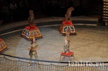 Цирковой фестиваль в Ижевске: акробаты из Эфиопии крутили сальто 47 раз без остановки