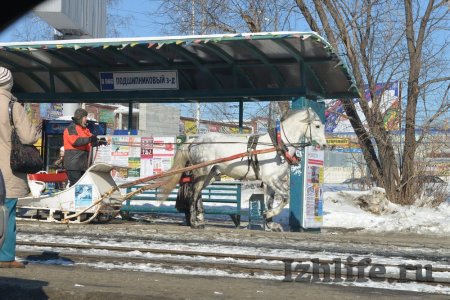 Фотофакт: на остановку общественного транспорта в Ижевске подъехала лошадь с санями