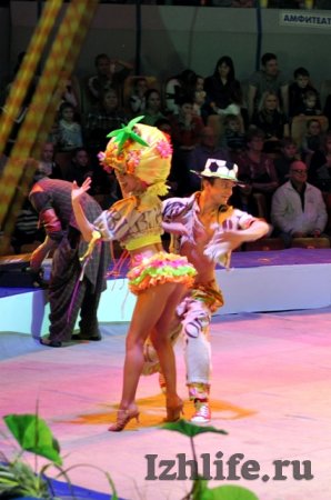 Кенгуру-балерина, 250 тонн воды на манеже: что увидят ижевчане на новом представлении в цирке