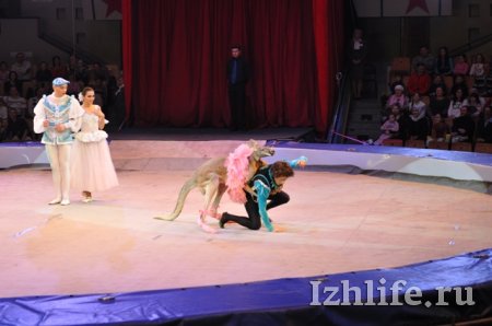 Кенгуру-балерина, 250 тонн воды на манеже: что увидят ижевчане на новом представлении в цирке