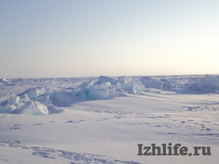 Ижевчанин вернулся из экспедиции к Северному полюсу