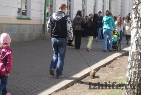 Фотофакт: в день Победы по улицам Ижевска разгуливают хорьки