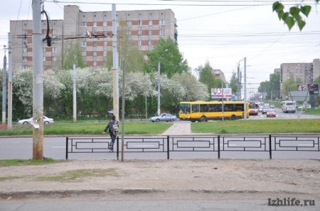 Трезвые дни и исчезнувший пешеходный переход: о чем сегодня говорят в Ижевске