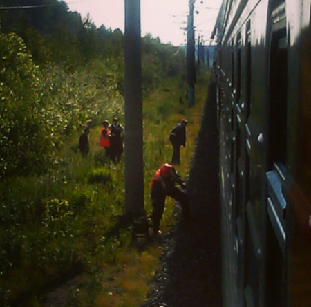 В Удмуртии из-за последствий грозы встали поезда