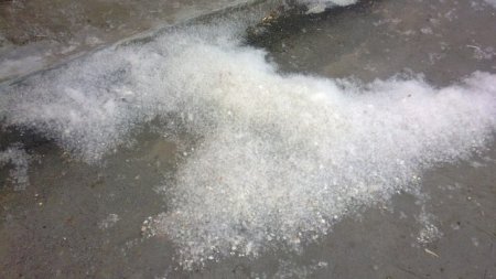 Фотофакт: улицы Ижевска погрязли в тополином «пухо-снеге»