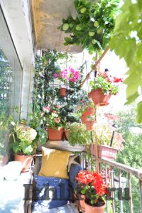 5 самых цветущих балконов Ижевска