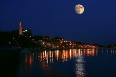 Запретные конфеты и упавшее дерево: о чем сегодня утром говорят в Ижевске