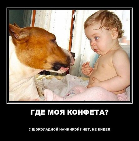 Запретные конфеты и упавшее дерево: о чем сегодня утром говорят в Ижевске