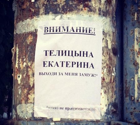 Запретные конфеты и упавшее дерево: о чем сегодня утром говорят в Ижевске