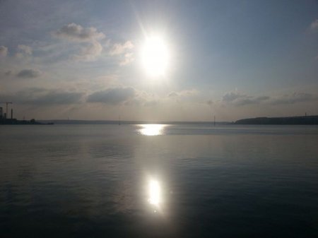 Запретные конфеты и упавшее дерево: о чем сегодня утром говорят в Ижевске