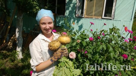 Последняя неделя лета и заморозки: о чем этим утром говорят в Ижевске