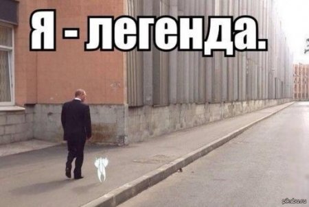 Украденные дети и кот, вид сзади: о чем утром говорят в Ижевске