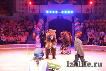 Шоу к юбилею ижевского цирка: зажигательная джигитовка и танцующие медведи