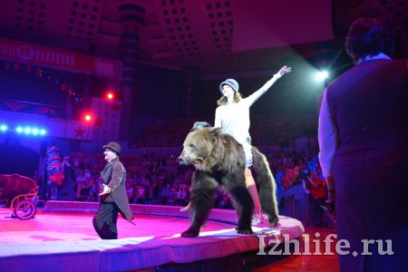 Шоу к юбилею ижевского цирка: зажигательная джигитовка и танцующие медведи