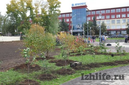 Больше 100 молодых деревьев посадили в «Вишневом» сквере Ижевска