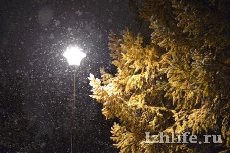 Фотофакт: в Ижевске прошел снег
