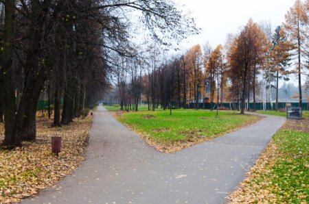 В Ижевске в парке Кирова построят лыжню-трансформер