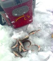 Зимние забавы: где в Удмуртии порыбачить