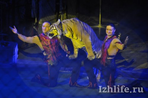 Из-за ажиотажного спроса фестиваль циркового искусства в Ижевске продлили на 1 день