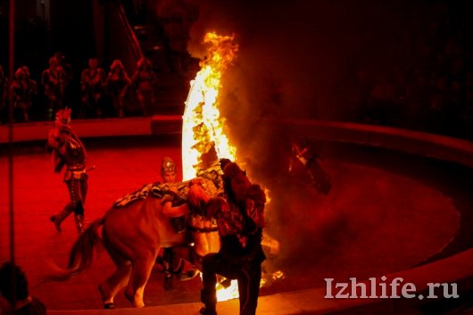 Золото циркового фестиваля в Ижевске получили аттракционы с животными