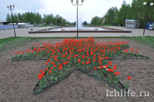 Клумбы на улицах Ижевска украсили тюльпанами