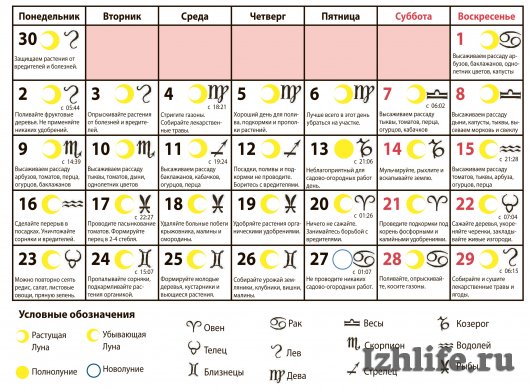 Лунный календарь для ижевчан на июнь