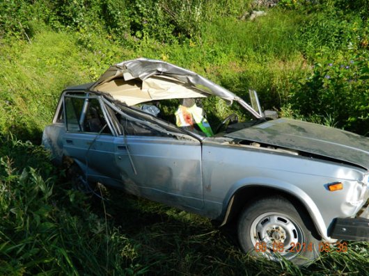 Пассажир «четверки» погиб в ДТП с лосем на трассе Юкаменское - Ижевск