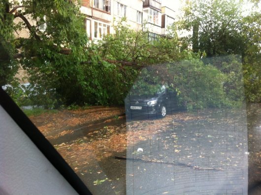 Гроза в Ижевске: затопило улицы и дерево упало на автомобиль